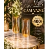 1 adet 22 cm çift cidarlı cam vazo