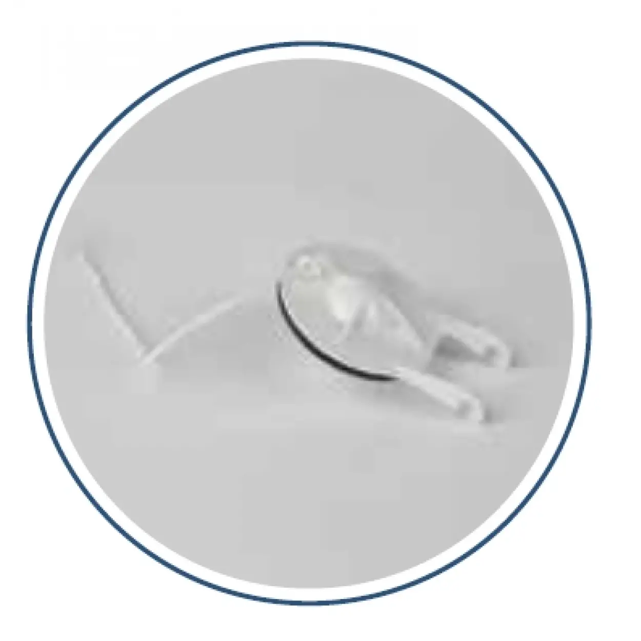 JAPAR - YENİ İDO LASTİĞİ