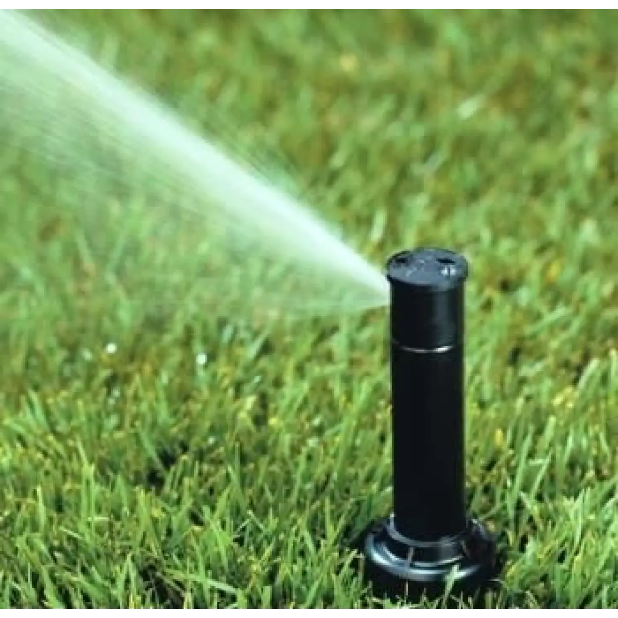 Rainbird 3504 Rotor Sprey 1/2