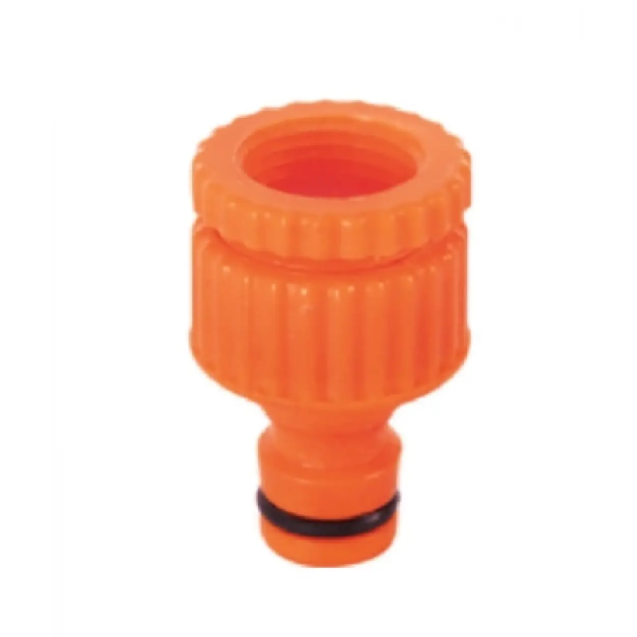 ÜZÜMCÜ -3/4” • 1/2” Jak Rekoru