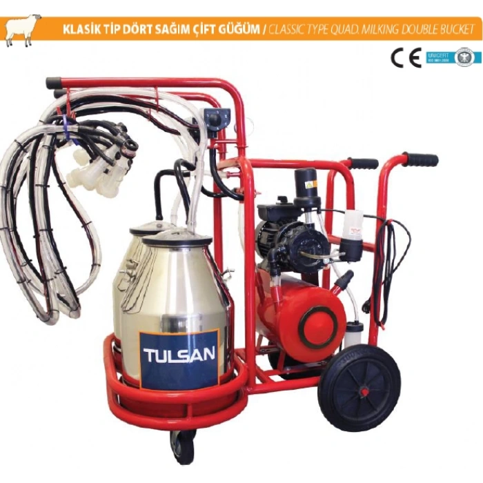 KOYUN-Klasik Tip Dört Sağım Çift Güğüm