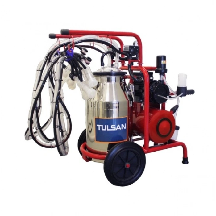 KOYUN-Klasik Tip Dört Sağım