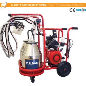 KOYUN-Klasik Tip Dört Sağım Çift Güğüm