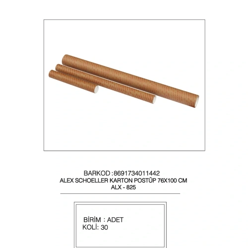 Alex Schoeller Proje Tüpü Karton 76x100 Cm 825