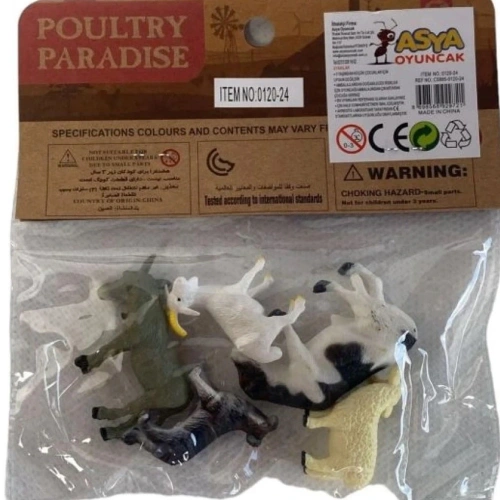 Asya Oyuncak Hayvan Seti Pvc C5865-0120-24