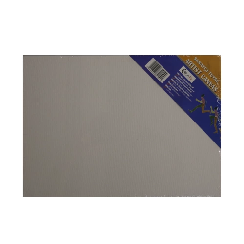 Bafix Çerçeveli Tuval 25x35