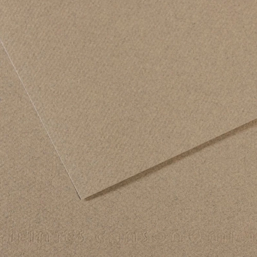 Canson Fon Karton (Dokulu) Mı-Teıntes Sh Canmt 50x65 160 GR Grey 429