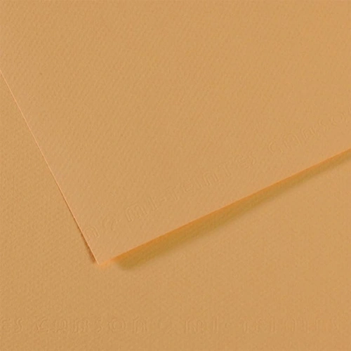 Canson Fon Kartonu (dokulu) Mı-teıntes 25 Li 50x65 160 Gr 340 Lıght Hemp 200321044