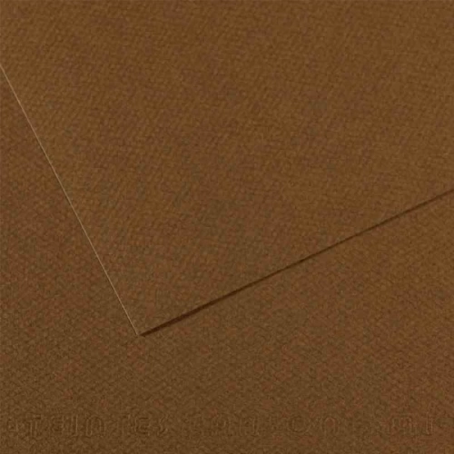 Canson Fon Kartonu (Dokulu) Mı-Teıntes 25 Lİ 50x65 160 GR 501 Dark Brown 200331484