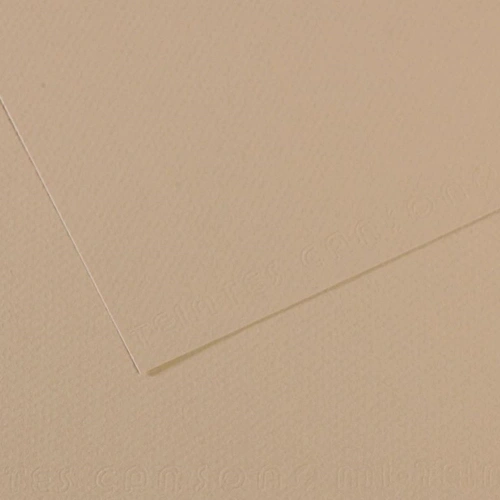 Canson Fon Kartonu (dokulu) Mı-teıntes 50x65 160 Gr Grey 343