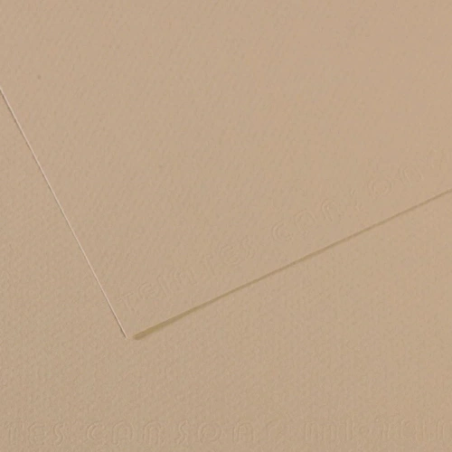 Canson Fon Kartonu (dokulu) Mı-teıntes 50x65 160 Gr Grey 343