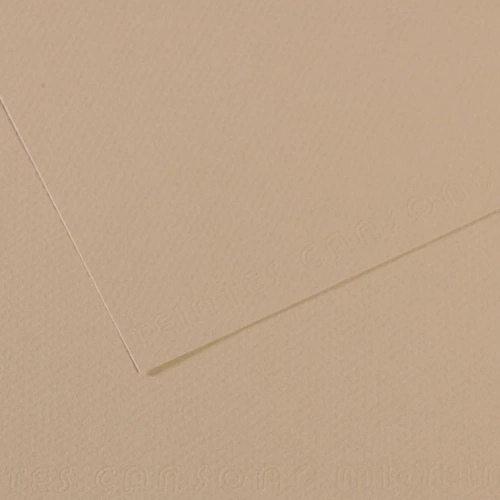 Canson Fon Kartonu (Dokulu) Mı-Teıntes 50x65 160 GR GREY 343