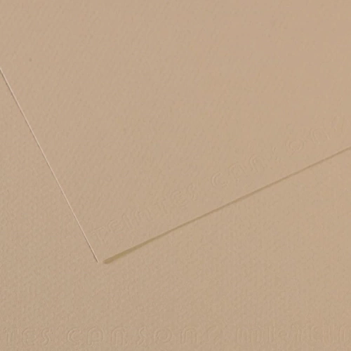 Canson Fon Kartonu (Dokulu) Mı-Teıntes 50x65 160 GR GREY 343