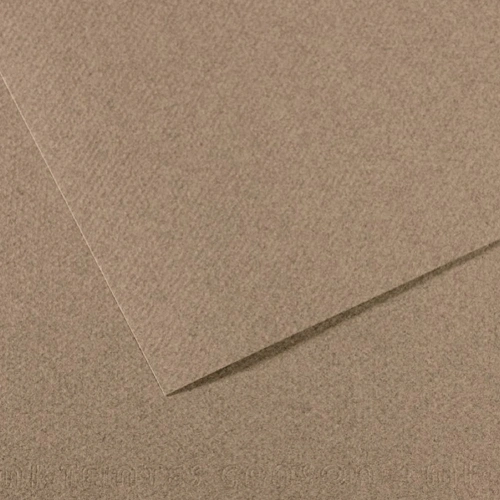 Canson Fon Kartonu (dokulu) Mı-teıntes 50x65 160 Gr Grey 431