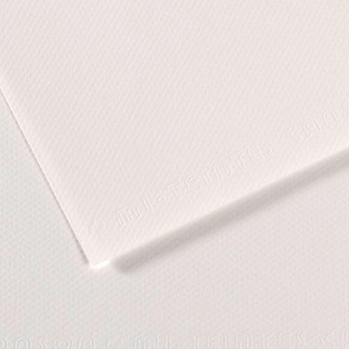 Canson Fon Kartonu (Dokulu) Mı-Teıntes 50x65 160 GR Whıt 335
