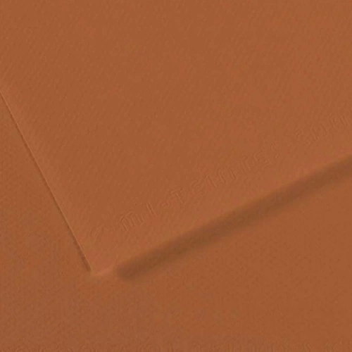 Canson Fon Kartonu (Dokulu) Mı-Teıntes Sh Canmt 50x65 160 GR Brown 187