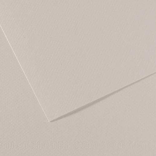 Canson Fon Kartonu (Dokulu) Mı-Teıntes Sh Canmt 50x65 160 GR Grey 120