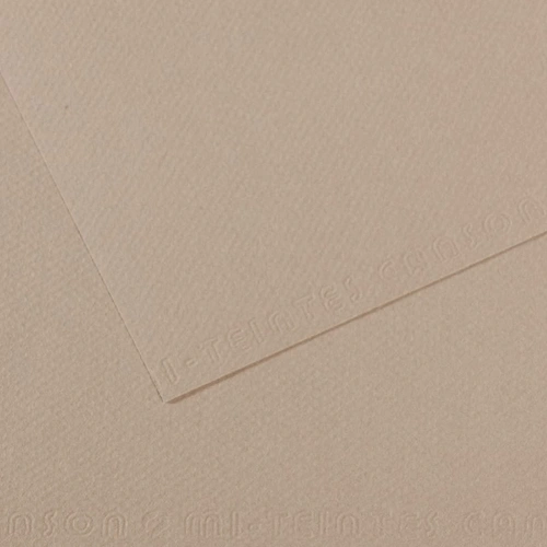 Canson Fon Kartonu (dokulu) Mı-teıntes Sh Canmt 50x65 160 Gr Grey 122