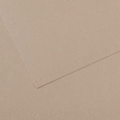 Canson Fon Kartonu (Dokulu) Mı-Teıntes Sh Canmt 50x65 160 GR Grey 122