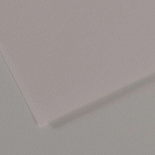 Canson Fon Kartonu (dokulu) Mı-teıntes Sh Canmt 50x65 160 Gr Grey 186