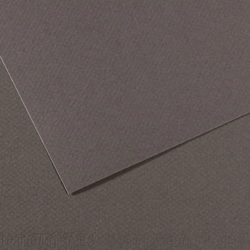 Canson Fon Kartonu (Dokulu) Mı-Teıntes Sh Canmt 50x65 160 GR Grey 345