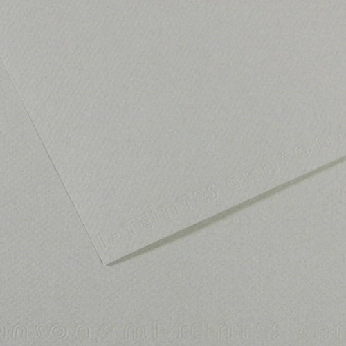 Canson Fon Kartonu (dokulu) Mı-teıntes Sh Canmt 50x65 160 Gr Grey 354
