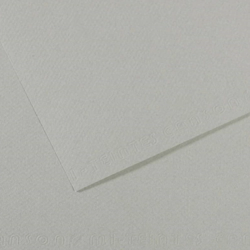 Canson Fon Kartonu (Dokulu) Mı-Teıntes Sh Canmt 50x65 160 GR Grey 354