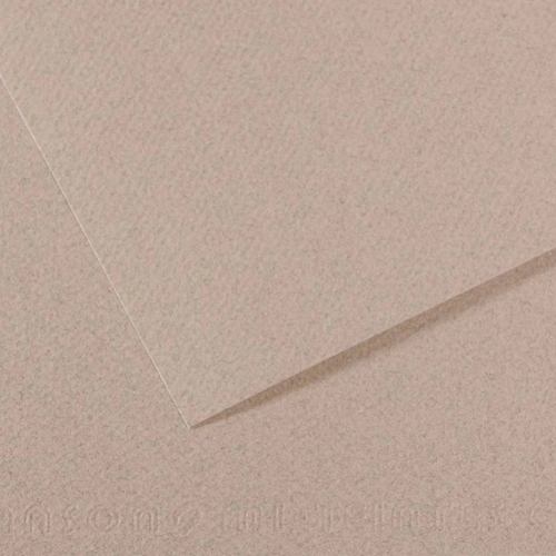 Canson Fon Kartonu (Dokulu) Mı-Teıntes Sh Canmt 50x65 160 GR Grey 426