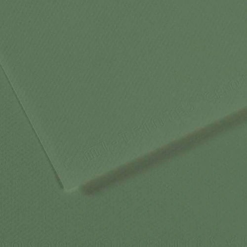 Canson Fon Kartonu (Dokulu) Mı-Teıntes Sh Canmt 50x65 160 GR Grn 190