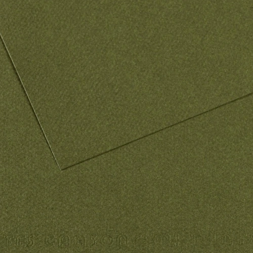 Canson Fon Kartonu (dokulu) Mı-teıntes Sh Canmt 50x65 160 Gr Grn 448