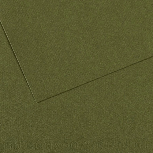 Canson Fon Kartonu (Dokulu) Mı-Teıntes Sh Canmt 50x65 160 GR Grn 448