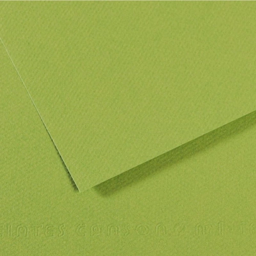 Canson Fon Kartonu (dokulu) Mı-teıntes Sh Canmt 50x65 160 Gr Grn 475
