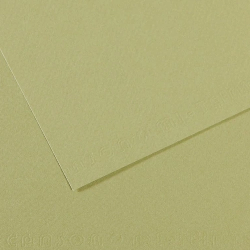 Canson Fon Kartonu (dokulu) Mı-teıntes Sh Canmt 50x65 160 Gr Grn 480