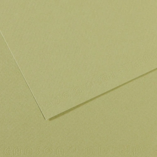 Canson Fon Kartonu (dokulu) Mı-teıntes Sh Canmt 50x65 160 Gr Grn 480