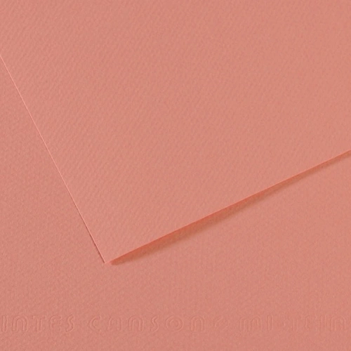 Canson Fon Kartonu (dokulu) Mı-teıntes Sh Canmt 50x65 160 Gr Pınk 352