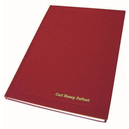 Dilman Cari Hesap Defteri Dik 17x24 320 Yp 1209