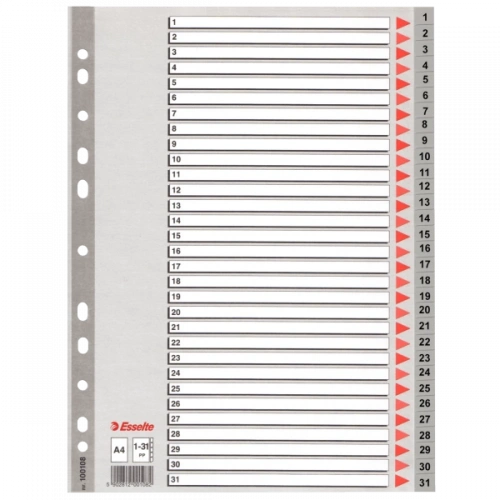 Esselte Seperatör 1-31 Rakamlı Plastik A4 100108