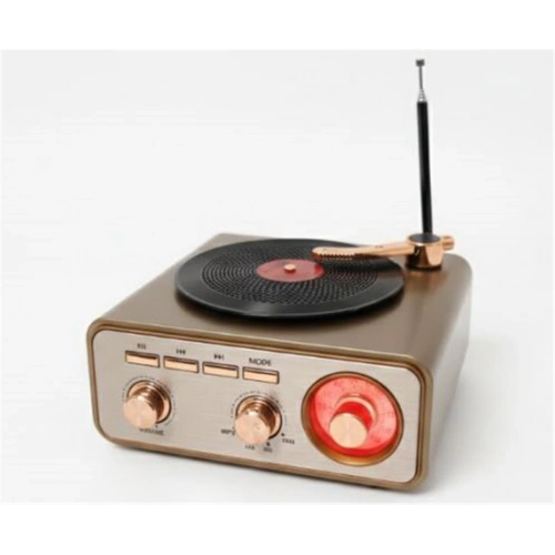 Everton Rt-1217bt  Bluetooth Usb-micro Plak Radyo