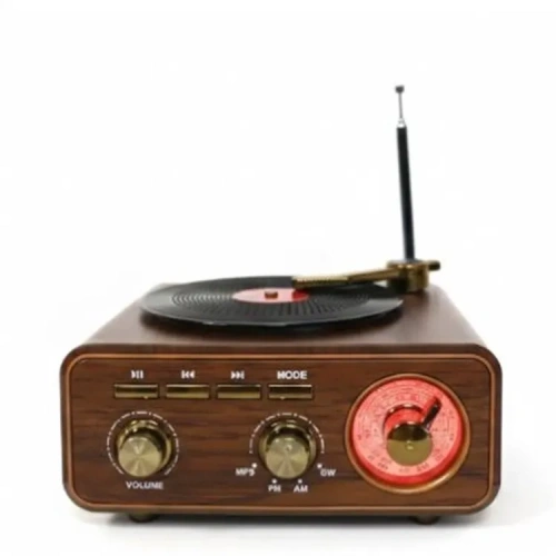 Everton Rt-1317bt Bluetooth Usb-micro Plak Radyo