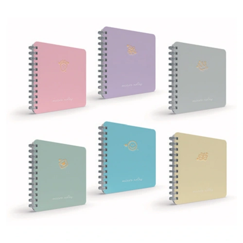 Gıpta Mıcro Notes Spiralli Sert.kapak Def.17x24 100 Yp Çizgisiz