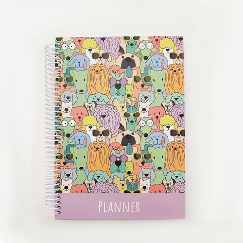 Liz Ayraçlı Planner 12x17 AJT02