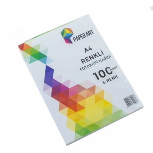 Paperart Renkli Fotokopi Kağıdı A4 5 Renk 100lü