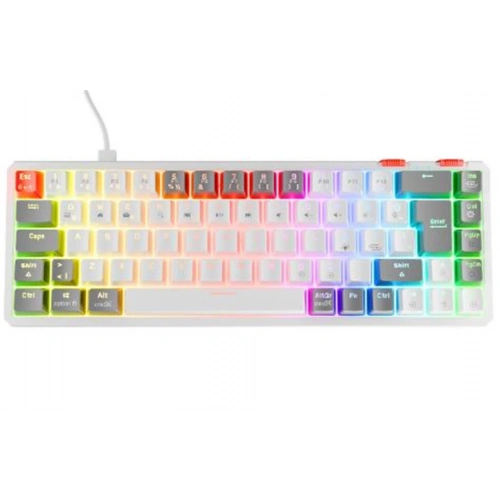 Rampage Yoru Mını Beyaz-gri Type-c Bağlantılı Outemu Red Swich Q Mekanik Gaming Oyuncu Klavye Rgb