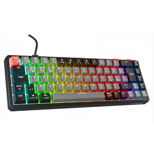 Rampage Yoru Mını Gri-siyah Type-c Bağlantılı Outemu Red Swich Q Mekanik Gaming Oyuncu Klavye Rgb