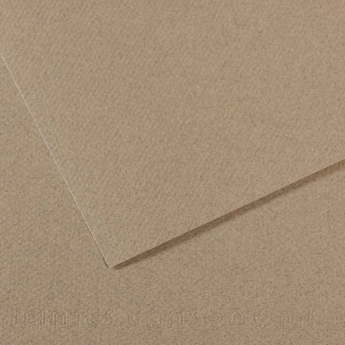 Canson Fon Karton (Dokulu) Mı-Teıntes Sh Canmt 50x65 160 GR Grey 429