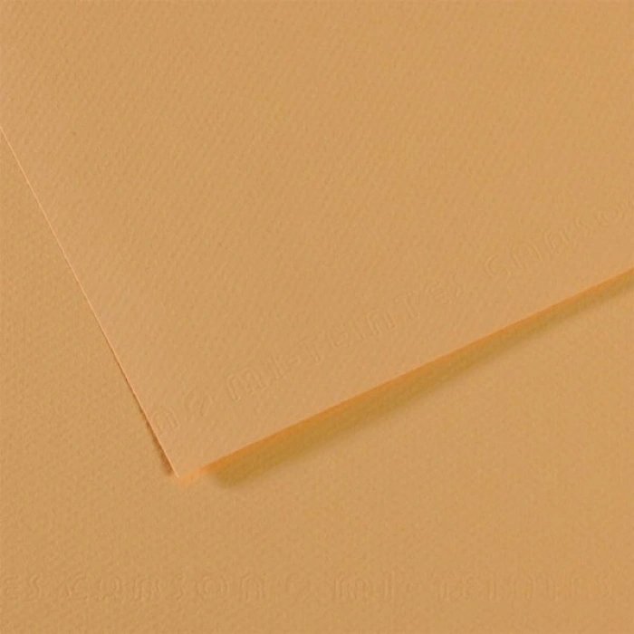 Canson Fon Kartonu (dokulu) Mı-teıntes 25 Li 50x65 160 Gr 340 Lıght Hemp 200321044