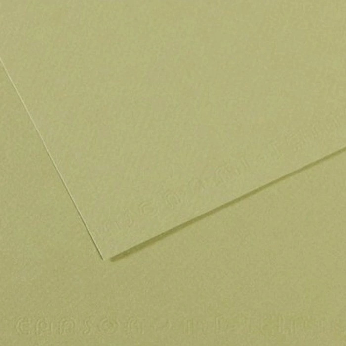 Canson Fon Kartonu (dokulu) Mı-teıntes 25 Li 50x65 160 Gr 480 Almond Green 200321164