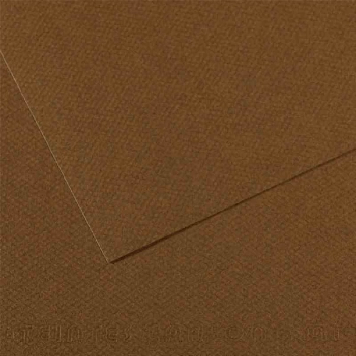Canson Fon Kartonu (Dokulu) Mı-Teıntes 25 Lİ 50x65 160 GR 501 Dark Brown 200331484