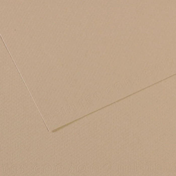 Canson Fon Kartonu (dokulu) Mı-teıntes 50x65 160 Gr Grey 343