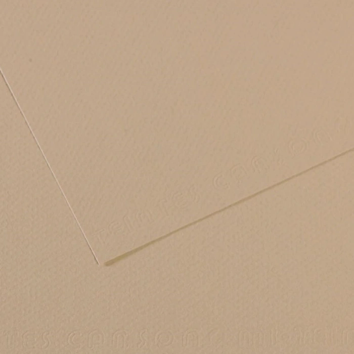 Canson Fon Kartonu (dokulu) Mı-teıntes 50x65 160 Gr Grey 343